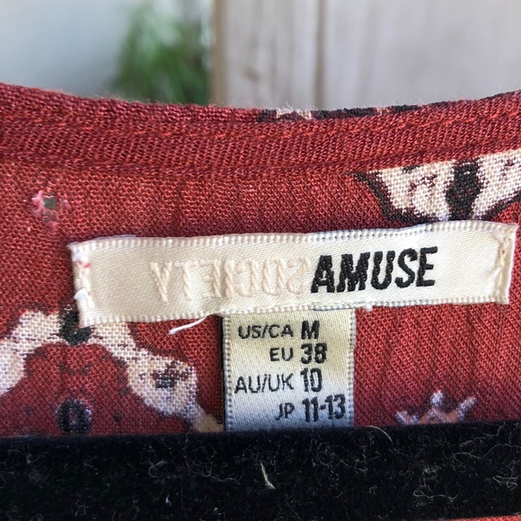 Amuse Society dress - Picture 4 of 5